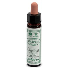 Chestnud Bud n°07 - Fiori di Bach