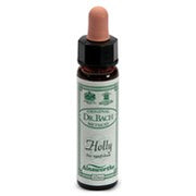 Holly n°15 - Fiori di Bach