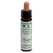 Mustard n°21 - Fiori di Bach