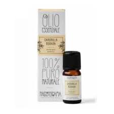 Camomilla Romana Olio Essenziale - Nasoterapia