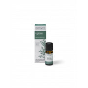 Cipresso Olio Essenziale - Nasoterapia